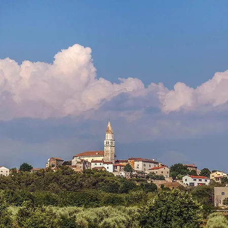 Pet Friendly Home In Visnjan Tatil Evi